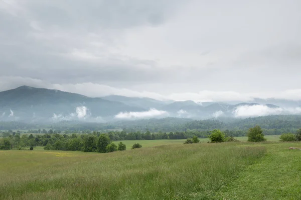 Uma Vista Paisagem Montanhas Árvores Prados Cades Cove Park Dentro — Fotografia de Stock