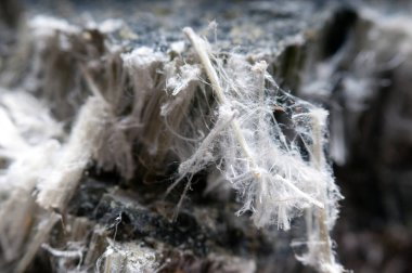 asbestos chrysotile fibers that cause lung disease, COPD, lung cancer, mesothelioma clipart