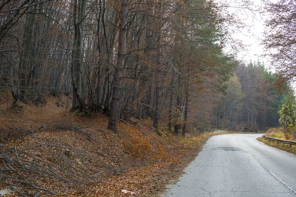 Ein Schöner Blick Auf Eine Straße Durch Den Herbstlichen Wald — Stockfoto