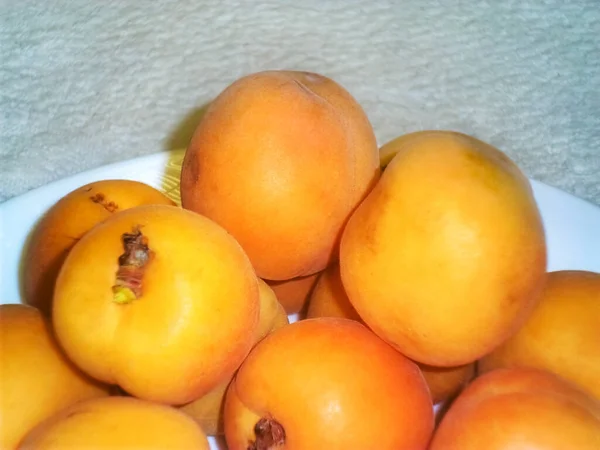 Köstliche Süße Reife Aprikosen Auf Einem Weißen Teller Mit Hellem — Stockfoto