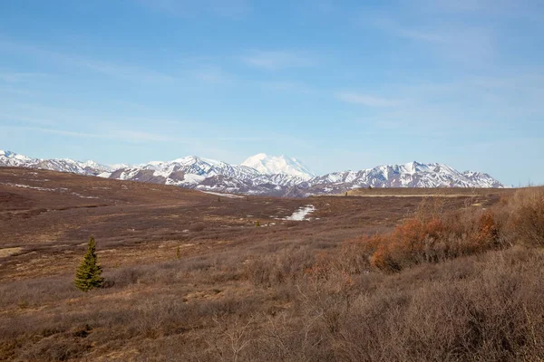 Okouzlující Scenérie Národního Parku Denali Aljaška — Stock fotografie
