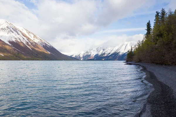 Schöne Aufnahme Eines Kenai Sees Mit Tannen Wiesen Und Hohen — Stockfoto