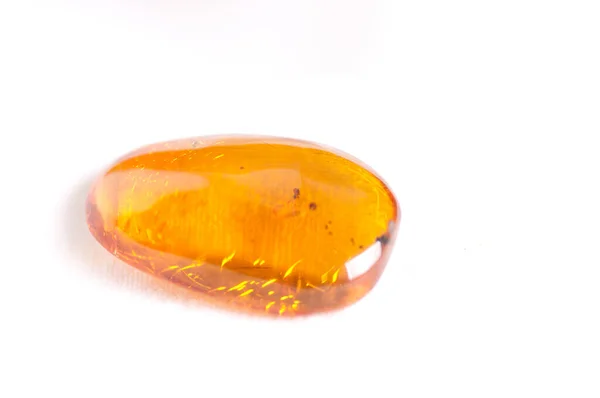 Amber Insect Fossillized Crystal Science — Stock Photo, Image