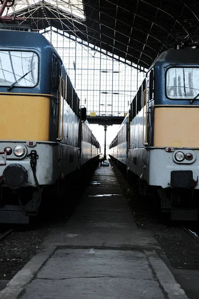 Vonatok Függőleges Képe Vasútállomás Hátterében — Stock Fotó