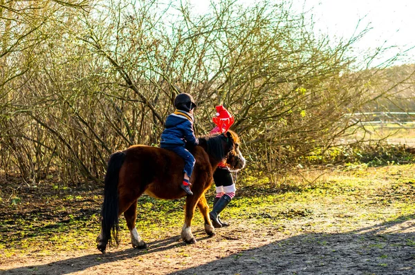 Bolechowko Polonia 2020 Niño Montado Pequeño Pony Mientras Una Chica — Foto de Stock