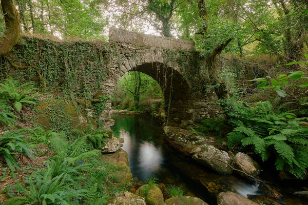 一座横跨美丽河流的古老石桥穿过一片茂密的森林 — 图库照片