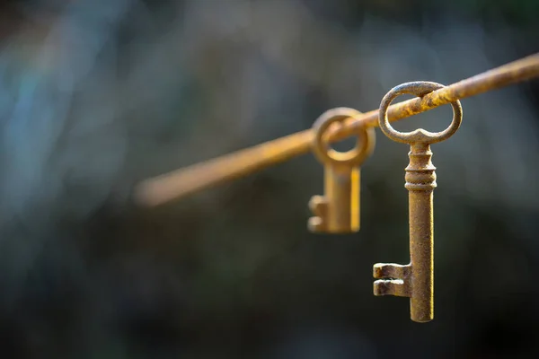 Een Close Shot Van Sleutels Opknoping Een Kabel — Stockfoto