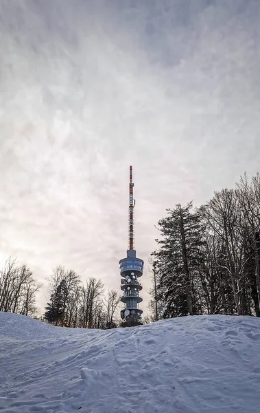 Egy Függőleges Felvétel Egy Magas Toronyról Télen — Stock Fotó