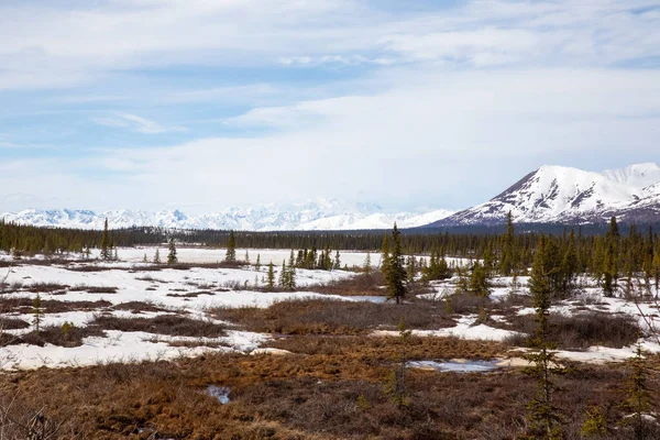 Het Betoverende Landschap Van Alaska — Stockfoto