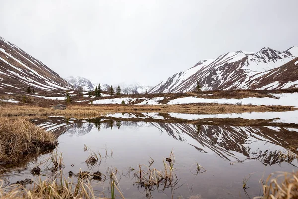 Спалах Снігових Гір Віддзеркалюється Ставку Парку Чагач Аляска — стокове фото