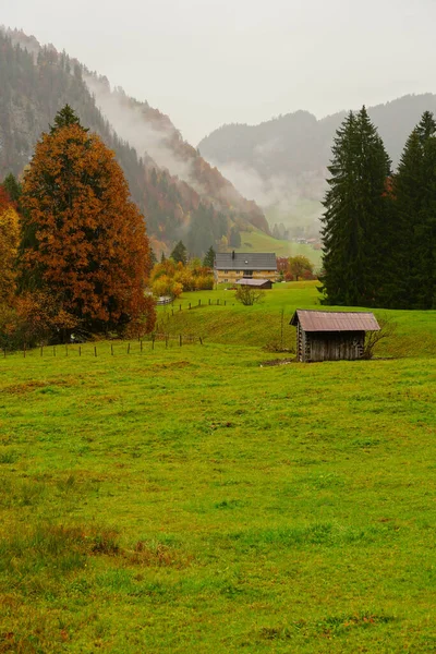 Een Verticale Opname Van Een Houten Hut Een Weide Duitse — Stockfoto