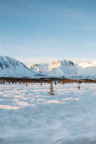 Завораживающий Пейзаж Аляски — стоковое фото
