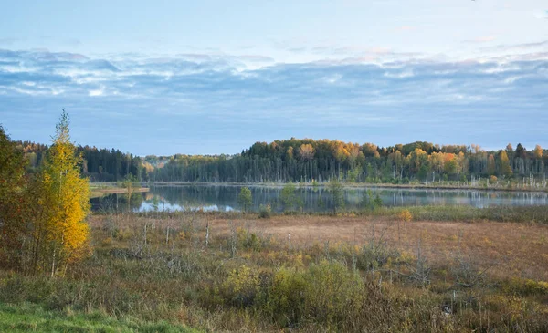 Schöner Ruhiger Nebelumhüllter Natürlicher See Umgeben Von Herbstlichen Bäumen Karula — Stockfoto