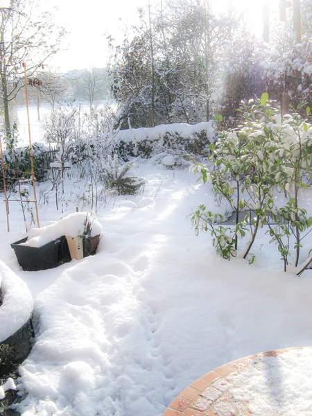 Solig Vinterdag Med Nysnö Och Fotspår Trädgård Med Park Bakgrunden — Stockfoto