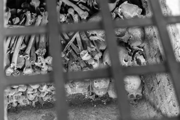 Ujęcie Kości Czaszek Ludzkich Pod Metalowym Ogrodzeniem Skali Szarości — Zdjęcie stockowe