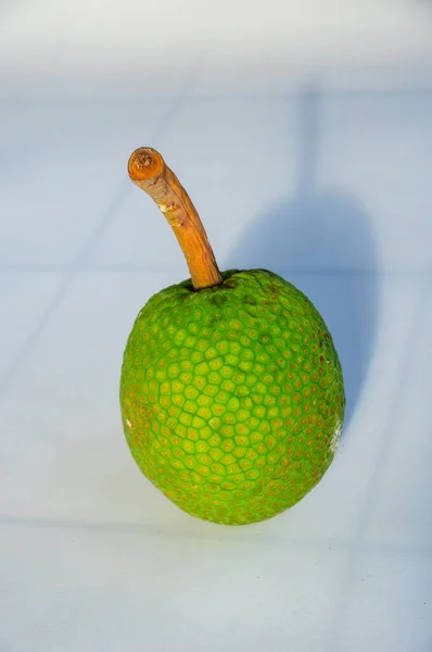 Eine Nahaufnahme Einer Brotfrucht Auf Einem Schlichten Weißen Hintergrund — Stockfoto