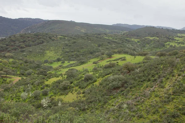 Utsikt Över Nationalparken Monfrague Spanien Höga Berg Och Kullar Täckta — Stockfoto