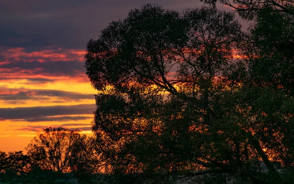 Прекрасный Закат Над Парком — стоковое фото
