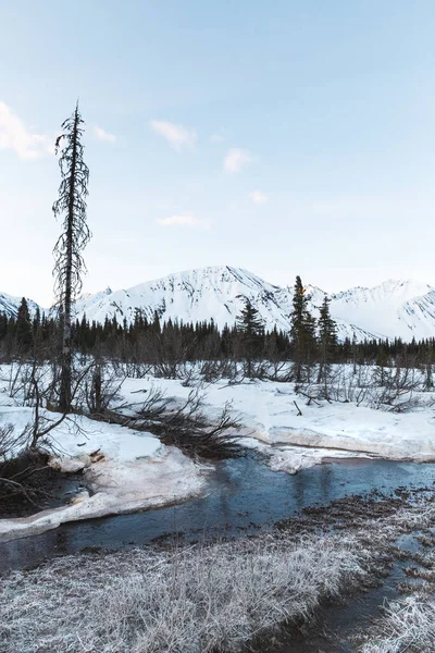 Дивовижний Краєвид Аляски — стокове фото