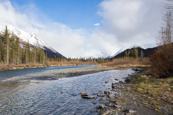 Una Hermosa Toma Río Abetos Prados Altas Montañas Alaska —  Fotos de Stock