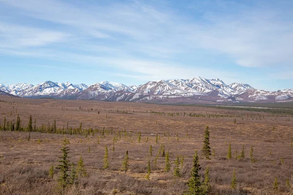 Okouzlující Scenérie Národního Parku Denali Aljaška — Stock fotografie