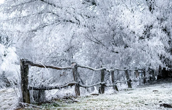 冬季公园里的木制栅栏 — 图库照片