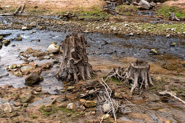 Barrage Nagold Dans Vallée Nagold Forêt Noire Allemagne — Photo