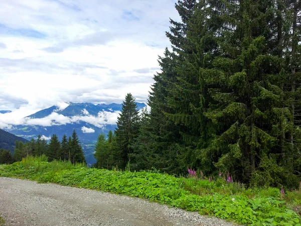 Eine Schöne Aufnahme Von Bergwäldern Lüsen Südtirol — Stockfoto