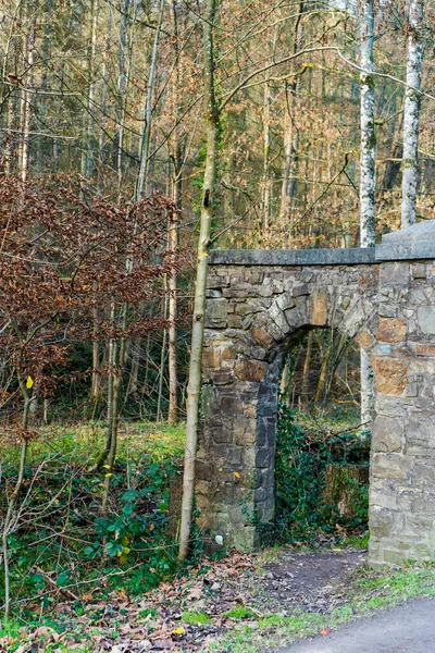 Las Odenthal Drzewa Nad Potokiem Jesienią — Zdjęcie stockowe