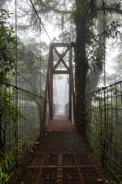 森の中の金属製の吊橋の垂直ショット — ストック写真