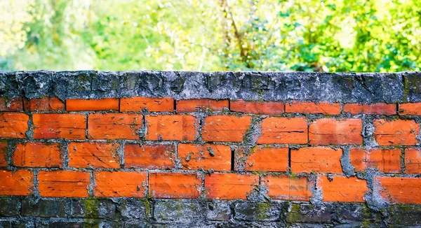 Yıpranmış Eski Bir Duvarın Yakınında — Stok fotoğraf