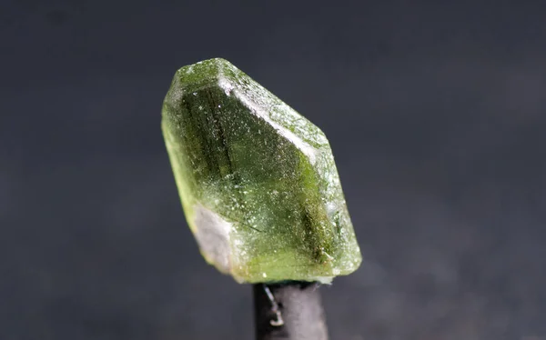 Vibrante Verde Forsterite Cristallo Minerale Gemma Campione Geologyv Scienza — Foto Stock