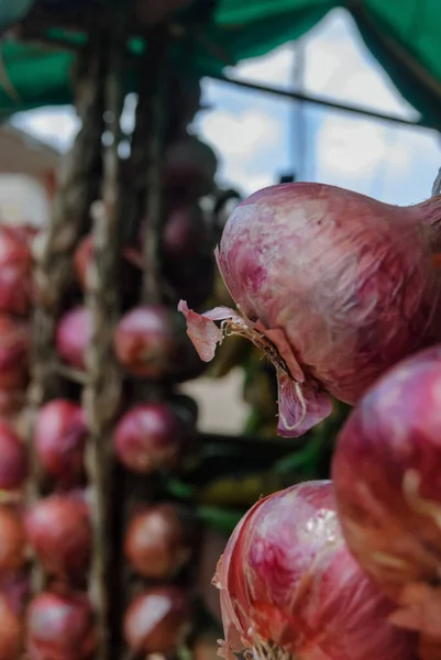 Ein Selektiver Fokus Schuss Zwiebeln Auf Dem Markt — Stockfoto