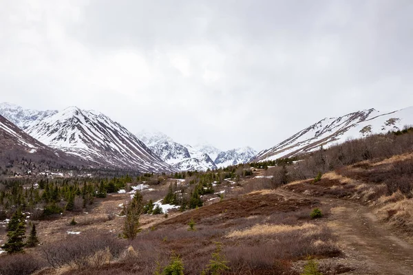 Прекрасный Снимок Завораживающих Снежных Гор Парке Штата Чугач Аляска Деревьями — стоковое фото