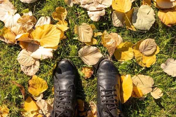 Ноги Сапогах Осенних Листьях — стоковое фото