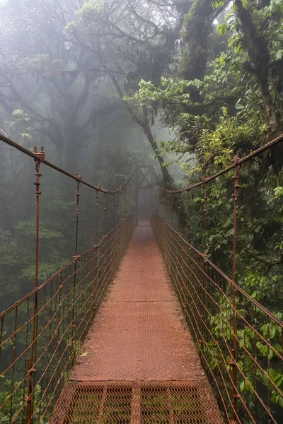 Vertical Shot Metal Hanging Bridge Forest — Stock Photo, Image