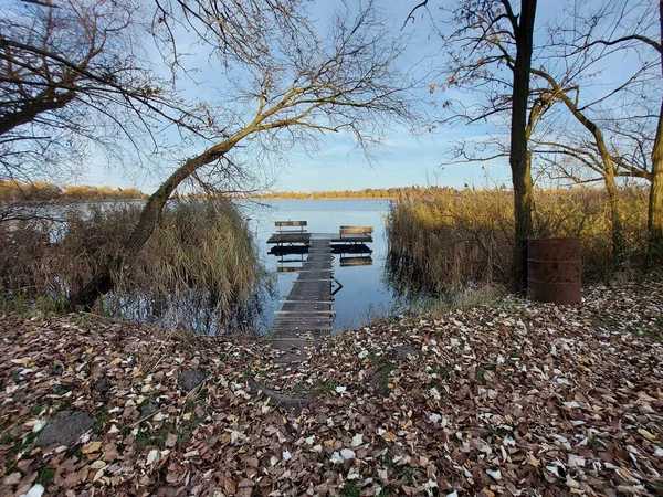 Una Hermosa Toma Puente Madera Lago — Foto de Stock