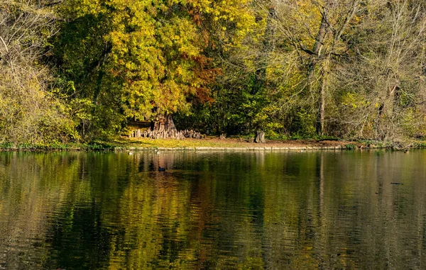 나무와 초목으로 둘러싸인 반사되는 호수의 아름다운 — 스톡 사진
