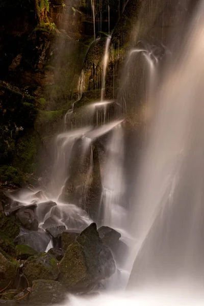 Disparo Vertical Una Cascada Rodeada Árboles Plantas Bosque — Foto de Stock