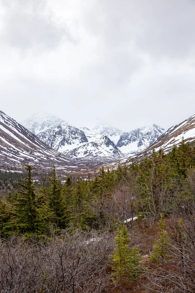 Vertikální Snímek Krásných Zasněžených Hor Státním Parku Chugach Aljašce Stromy — Stock fotografie