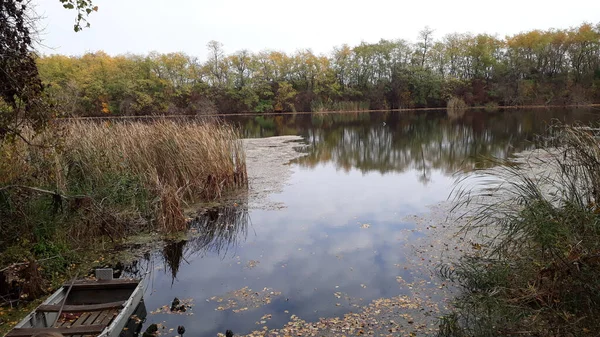 Colpo Ipnotizzante Lago Calmo Circondato Alberi — Foto Stock