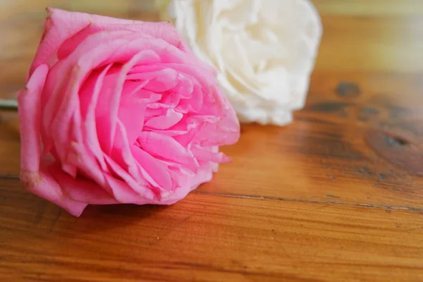 Egy Színes Fényes Virág Egy Fából Készült Asztalon — Stock Fotó