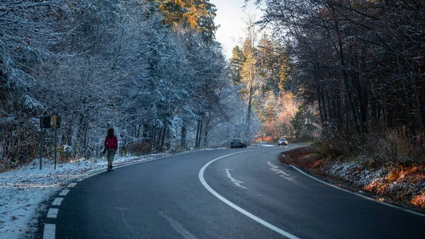 Een Prachtige Opname Van Snelweg Door Het Bos Bedekt Met — Stockfoto