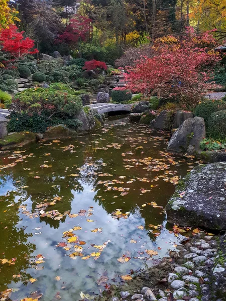 Piękny Widok Płynącej Rzeki Pokrytej Opadłymi Liśćmi Otoczonej Zielenią Jesienią — Zdjęcie stockowe