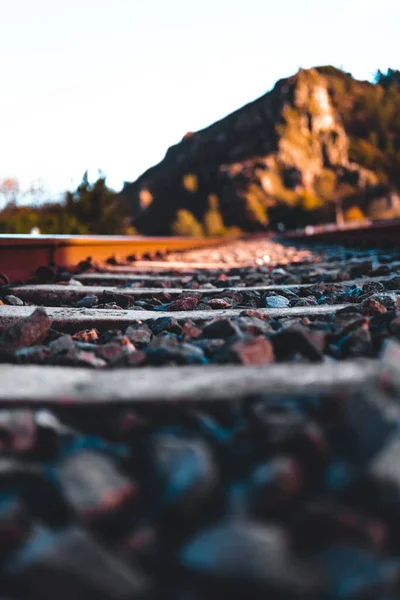 Eine Vertikale Selektive Fokusaufnahme Von Eisenbahngleisen Sonnenlicht — Stockfoto