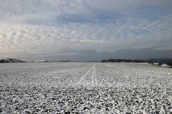 Uma Bela Vista Uma Paisagem Inverno Com Campos Prados Uma — Fotografia de Stock