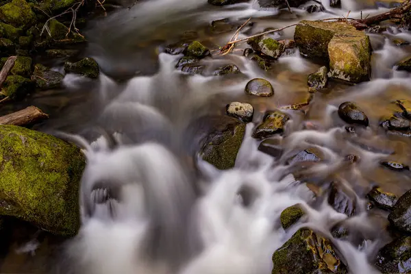 Eine Langzeitbelichtungsaufnahme Eines Flusses Der Durch Einen Wald Fließt — Stockfoto