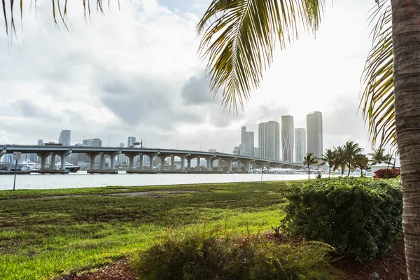 Bellissimo Paesaggio Urbano Con Edifici Moderni Ponte — Foto Stock