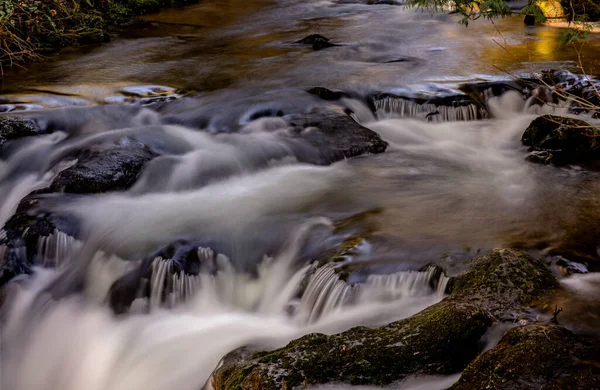Long Exposure Shot River Flowing Forest — Stock Photo, Image