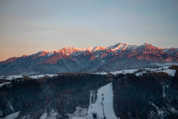 Eine Faszinierende Aufnahme Der Schneebedeckten Naturlandschaften Einem Kalten Wintertag — Stockfoto